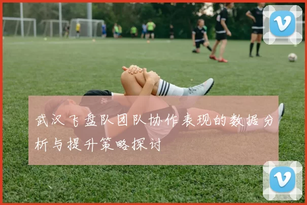 武汉飞盘队团队协作表现的数据分析与提升策略探讨