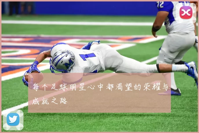 每个足球明星心中都渴望的荣耀与成就之路