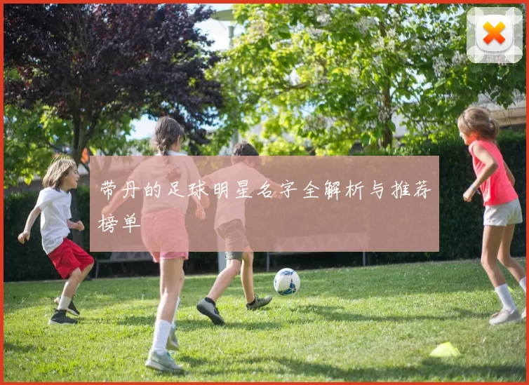 带丹的足球明星名字全解析与推荐榜单