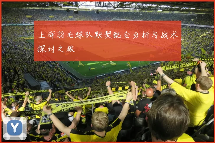 上海羽毛球队默契配合分析与战术探讨之旅