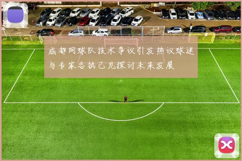 成都网球队技术争议引发热议球迷与专家各执己见探讨未来发展