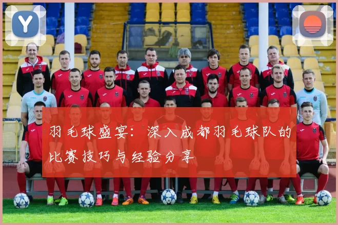 羽毛球盛宴：深入成都羽毛球队的比赛技巧与经验分享