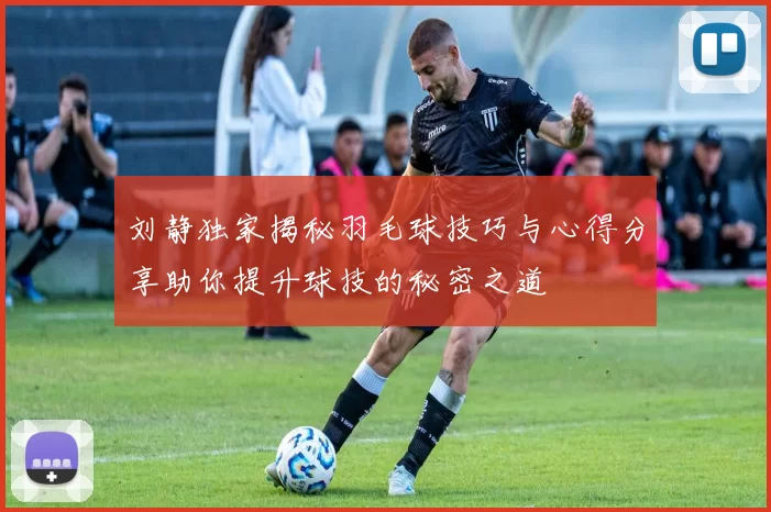 刘静独家揭秘羽毛球技巧与心得分享助你提升球技的秘密之道