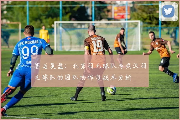 赛后复盘：北京羽毛球队与武汉羽毛球队的团队协作与战术分析