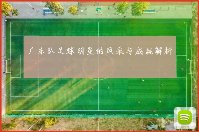 广东队足球明星的风采与成就解析