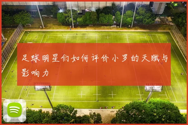 足球明星们如何评价小罗的天赋与影响力