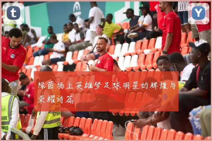 绿茵场上英雄梦足球明星的辉煌与荣耀诗篇