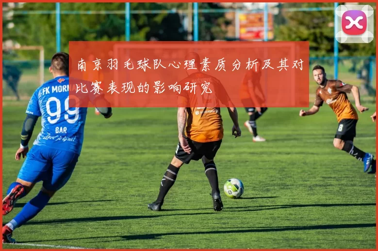 南京羽毛球队心理素质分析及其对比赛表现的影响研究