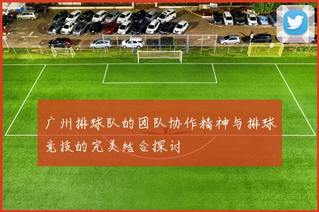 广州排球队的团队协作精神与排球竞技的完美结合探讨