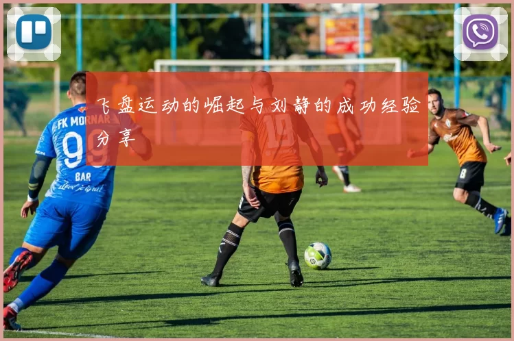 飞盘运动的崛起与刘静的成功经验分享