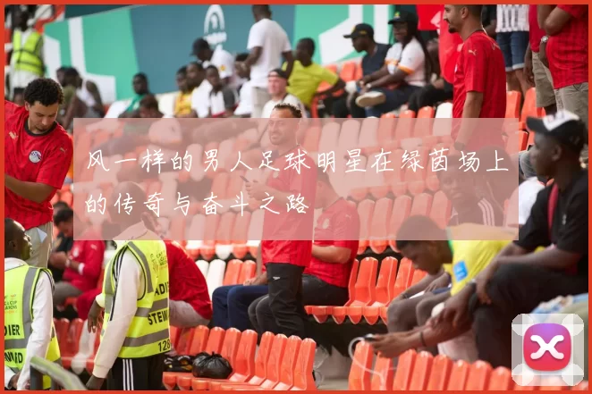 风一样的男人足球明星在绿茵场上的传奇与奋斗之路