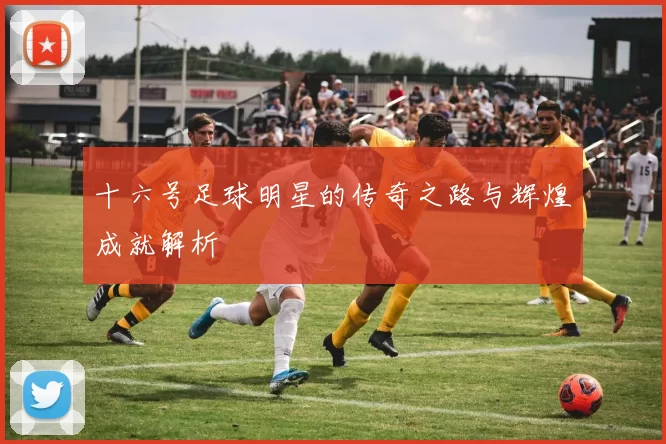 十六号足球明星的传奇之路与辉煌成就解析
