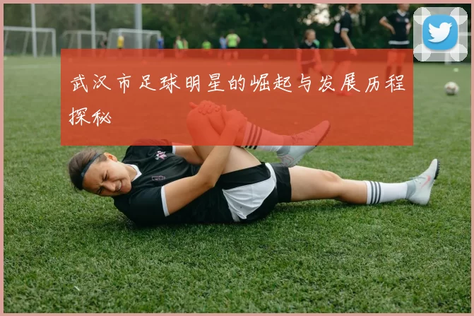 武汉市足球明星的崛起与发展历程探秘