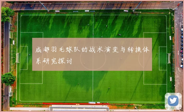 成都羽毛球队的战术演变与转换体系研究探讨