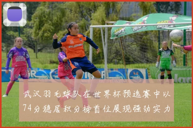 武汉羽毛球队在世界杯预选赛中以74分稳居积分榜首位展现强劲实力